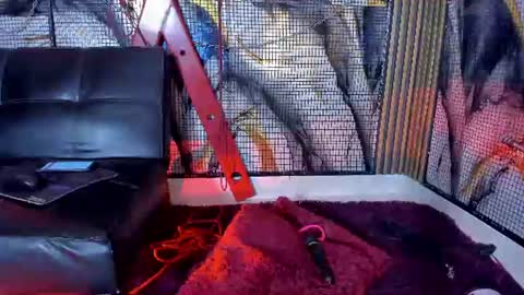 Snapshot of katizaldana chatting on 18, 6, 2026 kati online show from 18, 6, 2026