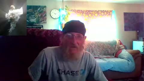 kodiakpm1 online show from 20, 6, 2026