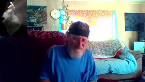 kodiakpm1 online show from 22, 6, 2026