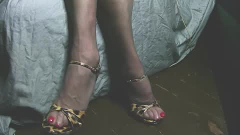 lana_legs53 online show from 31, 5, 2026