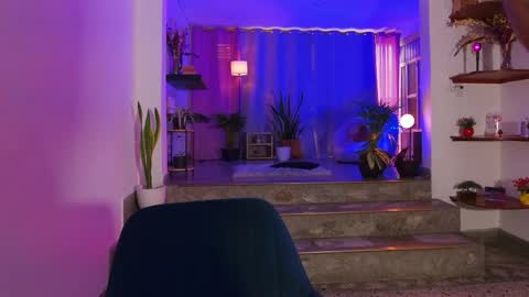 Leja online show from 6, 6, 2026