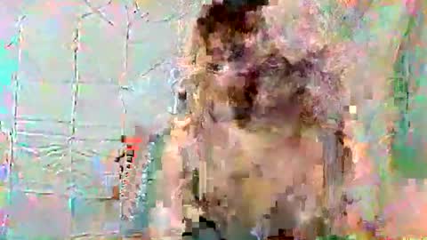 lily online show from 8, 6, 2026
