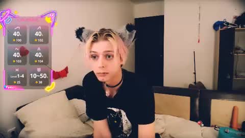 Felix online show from 14, 6, 2026
