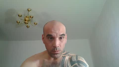 lolotatto online show from 3, 4, 2026