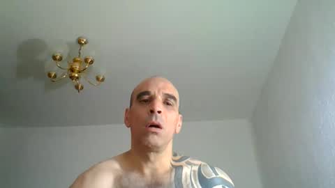 lolotatto online show from 9, 6, 2026