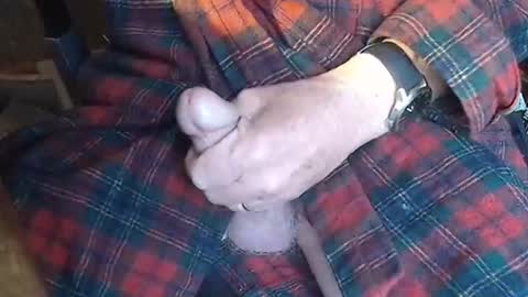 BIG Daddy cock. Tips make it harder  online show from 23, 5, 2026
