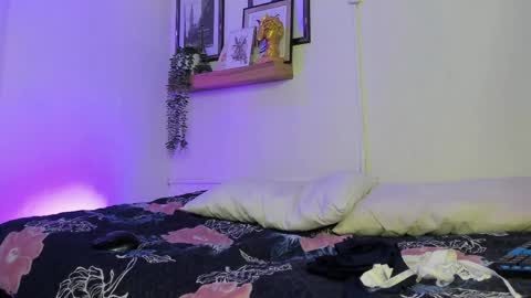    online show from 15, 5, 2026