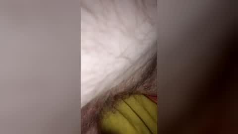 madmed69 online show from 27, 6, 2026