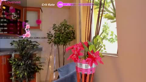 MARA  online show from 27, 5, 2026