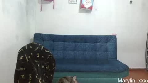 Snapshot of marilyn_xxxx chatting on 18, 6, 2026 Marilyn online show from 18, 6, 2026