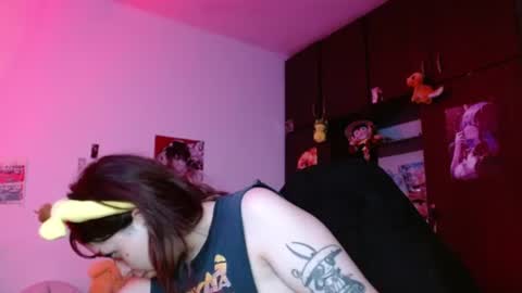                      100   online show from 13, 6, 2026