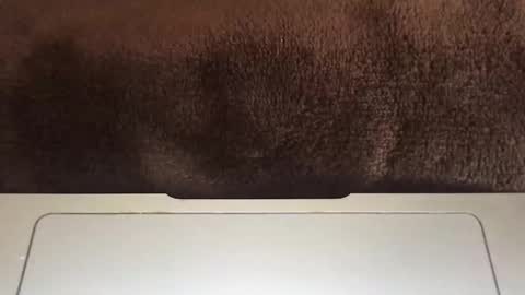 massivehungbigdick online show from 2, 6, 2026