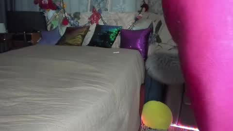 Nicki--------- Welcome to my Room online show from 7, 11, 2025