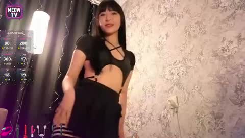 meowkami online show from 11, 6, 2026