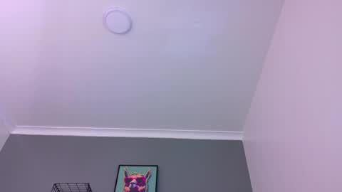 Snapshot of mrfox__ chatting on 16, 5, 2026 Mr Fox online show from 16, 5, 2026