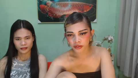 msmeygan online show from 12, 6, 2026