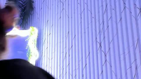 Naomy  online show from 18, 6, 2026
