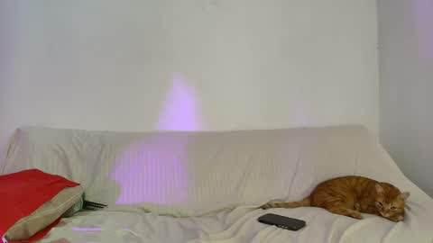Snapshot of nikki_uwu chatting on 2, 6, 2026 nikki_uwu online show from 2, 6, 2026