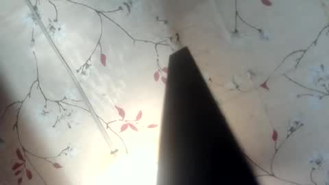Snapshot of nitchiefucker chatting on 17, 5, 2026 Nadz online show from 17, 5, 2026
