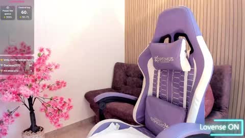novacox_34 online show from 4, 6, 2026