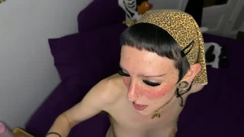 Nymphaea online show from 12, 6, 2026