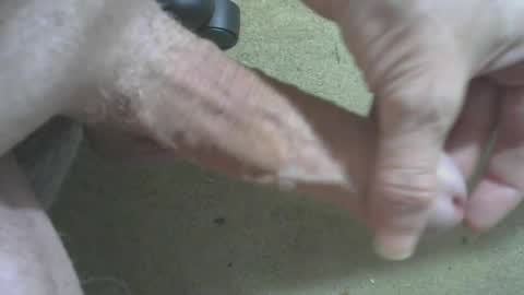 Snapshot of odentonman4fun chatting on 20, 6, 2026 odentonman4fun online show from 20, 6, 2026