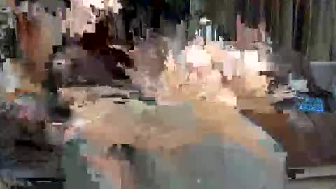 Paolo 187 84 online show from 24, 5, 2026