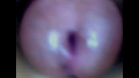 Paula 18 Aninhos online show from 14, 6, 2026