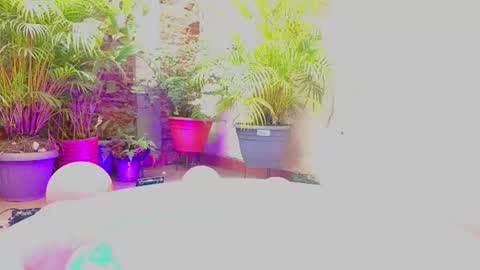 Paulina  online show from 19, 6, 2026