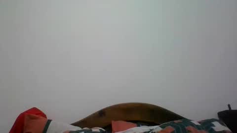 Snapshot of penegro358 chatting on 7, 6, 2026 penegro358 online show from 7, 6, 2026