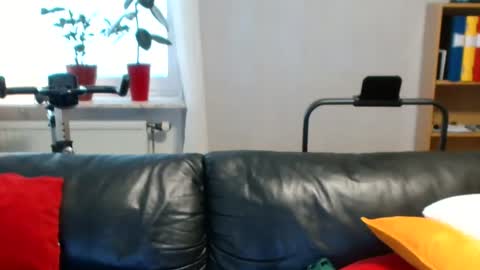 NordicBullForMilking online show from 4, 6, 2026