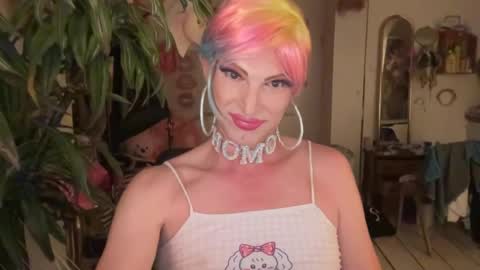 pinkfag online show from 16, 6, 2026