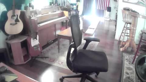 playerpleasure online show from 28, 5, 2026