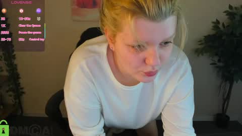 Polly online show from 6, 6, 2026