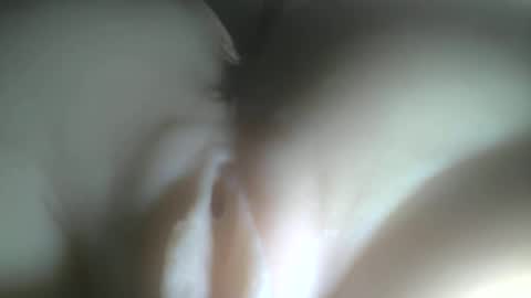 needtocum online show from 3, 2, 2026