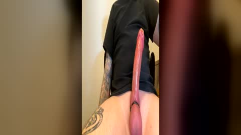 punkerboi182 online show from 24, 6, 2026