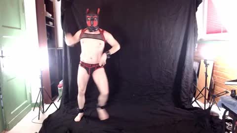 Pup Jake wants to play online show from 8, 3, 2025