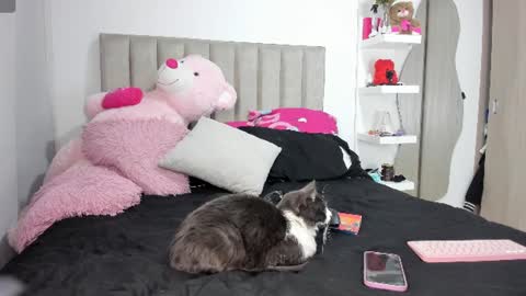 Snapshot of queen_antonella_oficial chatting on 8, 6, 2026 QUEEN ANTONELLA online show from 8, 6, 2026
