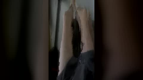 randycouple666 online show from 28, 6, 2026