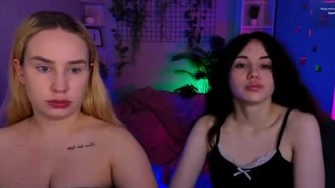 Meow online show from 13, 6, 2026