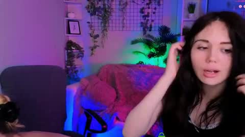 Meow online show from 14, 6, 2026