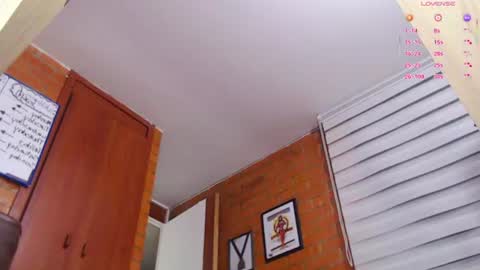SAMANTHA online show from 11, 6, 2026