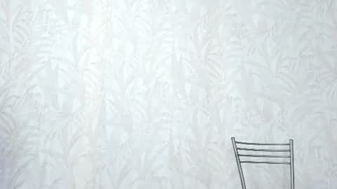 SandraxRay online show from 12, 6, 2026