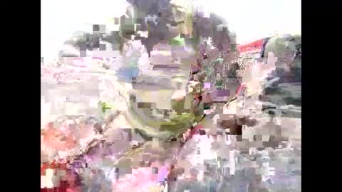 Cedar online show from 6, 3, 2025