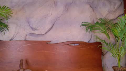 scarlettsinclaiir_ online show from 8, 6, 2026