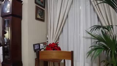 shayra online show from 14, 5, 2026