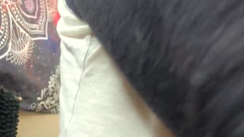 Snapshot of shy_college_girl chatting on 16, 5, 2026 Aurora Wolfe Shy College Girl Top 16 of all OF Creators online show from 16, 5, 2026