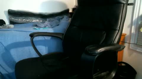 Snapshot of shyboyhugecum2020 chatting on 25, 5, 2026 shyboyhugecum2020 online show from 25, 5, 2026