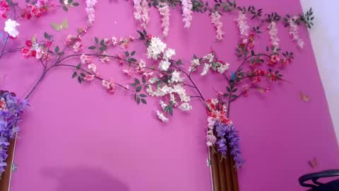 Snapshot of skinnysofia18 chatting on 5, 6, 2026 sofia online show from 5, 6, 2026
