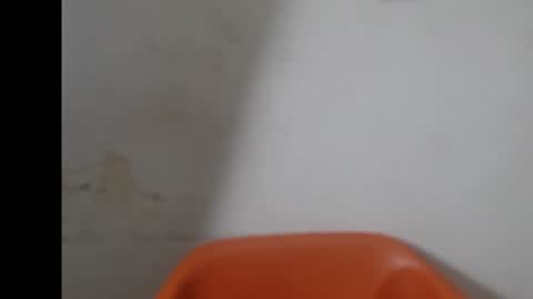 smallsluty online show from 30, 6, 2026